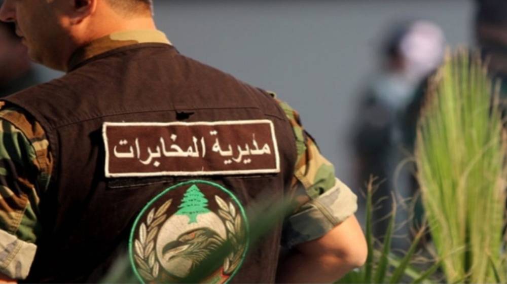 بالفيديو: الجيش يتلف حقل ماريجوانا في جبيل