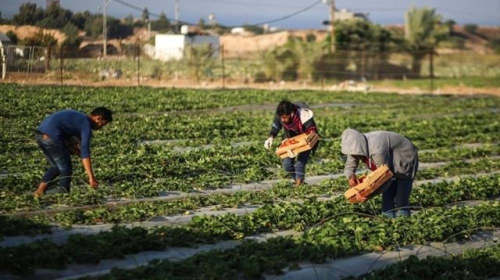 ظاهرةٌ خطيرة تهدّد صحّة اللبنانيين... و