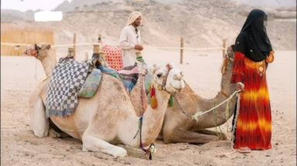 خريطة طريق لملاحقة أغنية إلى الرقة 