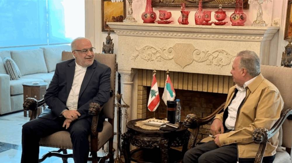 أرسلان التقى السفير الإيراني.. هذا ما بحثاه