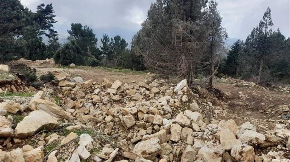 غابات فنيدق والقموعة تشهد على مجازر... ودعوة 