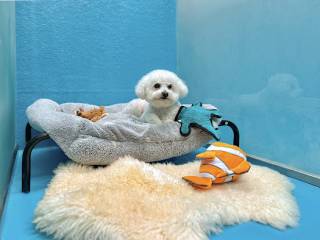 image00007