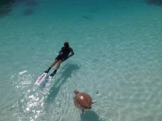 img-20250428-wa0031