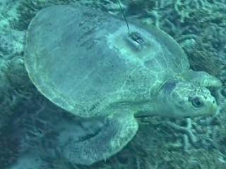 img-20250428-wa0033